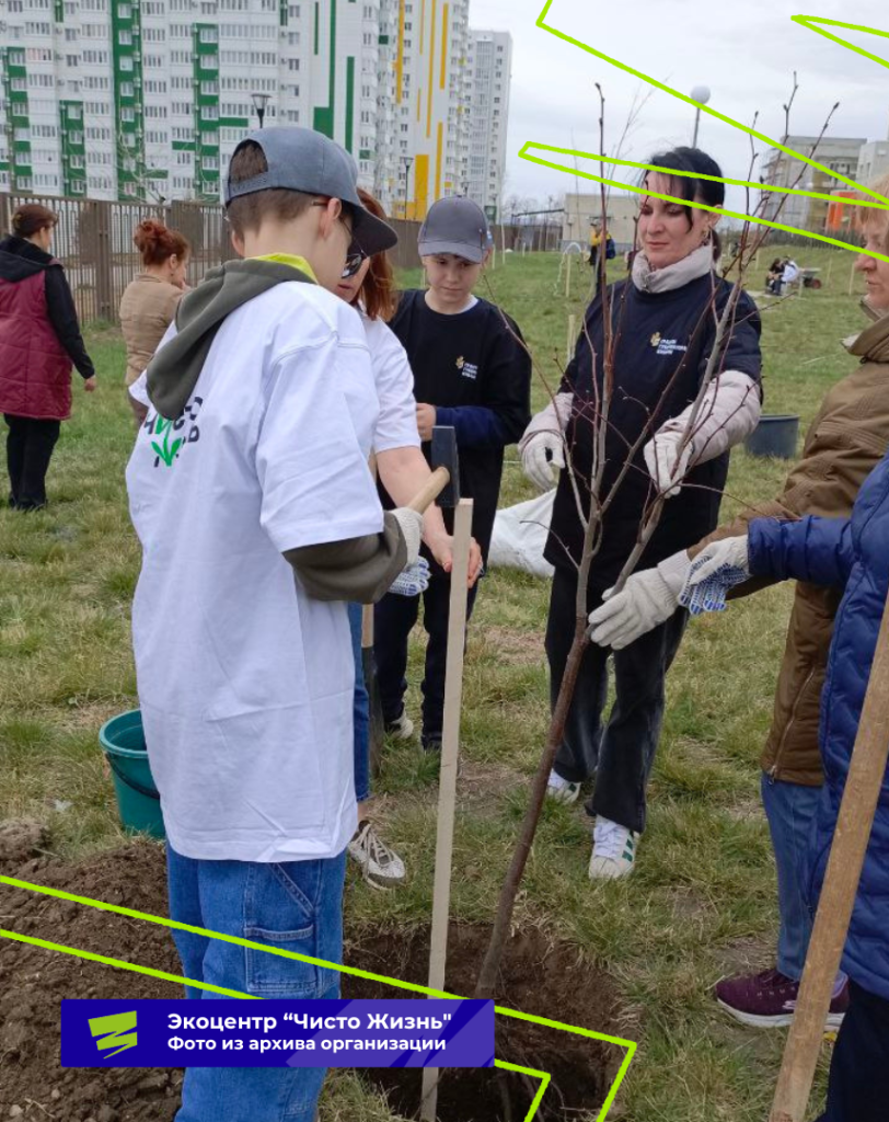 Плашки для видео (26).png Плашки для видео (26).png