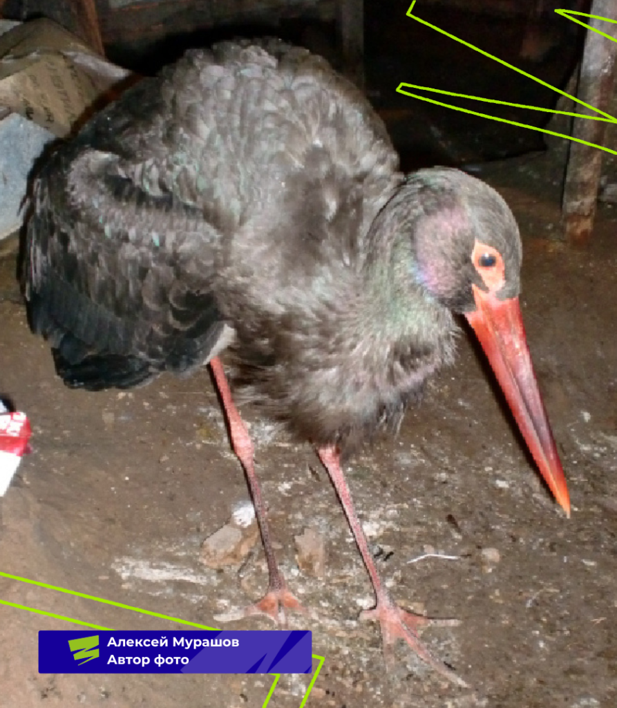 /upload/medialibrary/c63/ig3jbu1tgz324auhs1d0qiugatzlr4ev.png