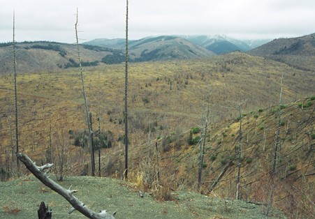 Рисунок8.jpg Рисунок8.jpg